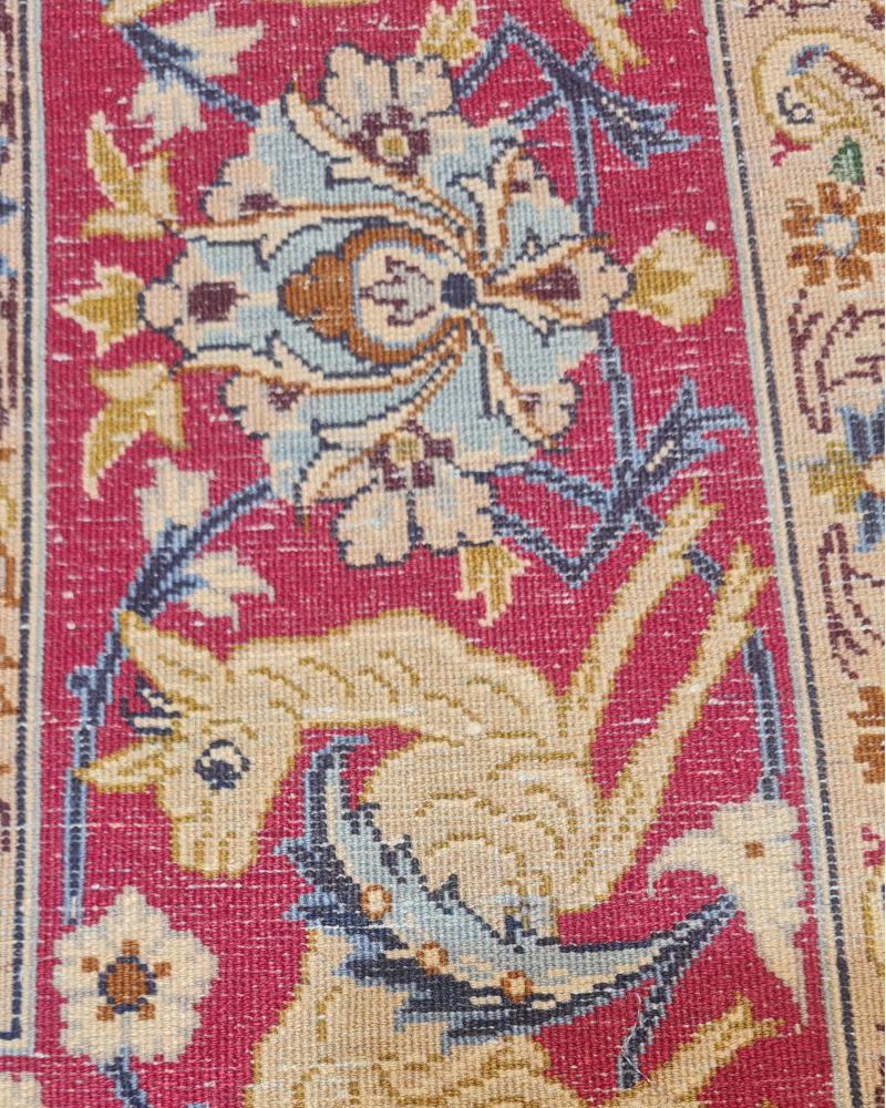 Carpet 11PP